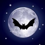 Flying Bat