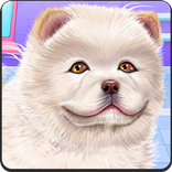 Chow Chow Puppy Spa Salon