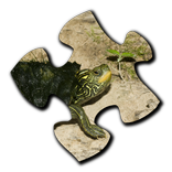 Turtle Jigsaw Puzzles