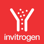 Flow Cytometry
