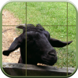 推移拼圖 (Slide Puzzle)