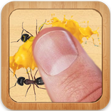 Ants Eraser