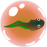 ”Frogspawn bubble shooter