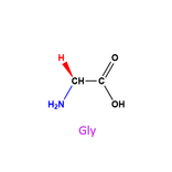 Amino Acids
