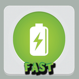 Green Fast Charger 10x