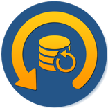 Deleted File Recovery