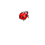 Kill bugs