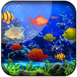 Fishes Live Wallpaper 2021 - Aquarium Koi Bgs