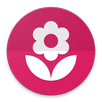 Chameleon Live Wallpaper KLWP APK