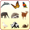 Animals for Kids APK