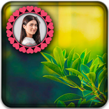 Leaf Photo Editor