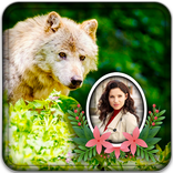 Wolf Photo Frames