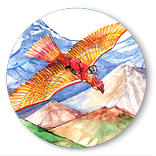 Oğlan və ayı rutulca