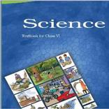 6th Science Notes