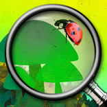 Delhaize Explorers