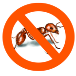 Ants Repellent