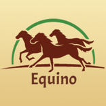 Equino