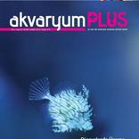 Akvaryum Plus 10