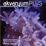 Akvaryum Plus 3
