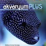 Akvaryum Plus 6