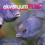 Akvaryum Plus 7