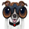 Binoculars Spy Camera HD APK