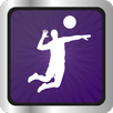 Volei Mobile APK