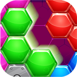 Hexagon Jigsaw Puzzle Block