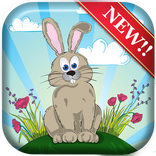 Bunny Adventure Skater Run