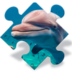 Free Dolphin Jigsaw Puzzles APK