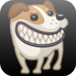 Pets Widget