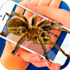 Spider Camera Scary Prank APK