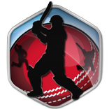 Box Cricket International 2016