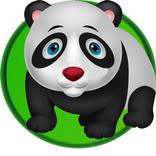 Snow Panda