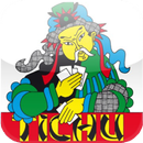 Get Points Tichu APK