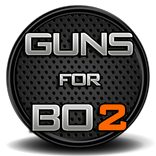 Guns for BO2