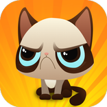 Grumpy Jumpy Cat