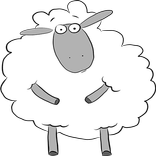Color Sheep Story