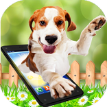 Perro en pantalla - Perro en teléfono Broma dog