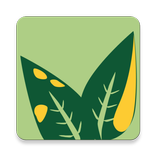 Herbicide Injury ID