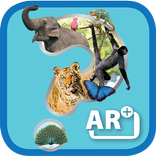Tiere 3D