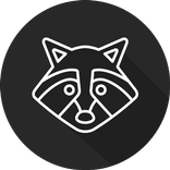 Raccoon Browser