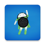 Version für Play Store