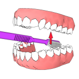 DentalCluj Brush Assistant