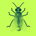 Das Honigbienen-Einmaleins