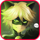 🐞 Ladybug Cat Noir Adventure