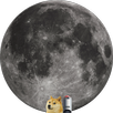 DOGE QUEST APK