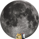 DOGE QUEST APK
