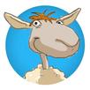 Body2Brain APK