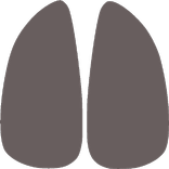 Tuberculose Dz